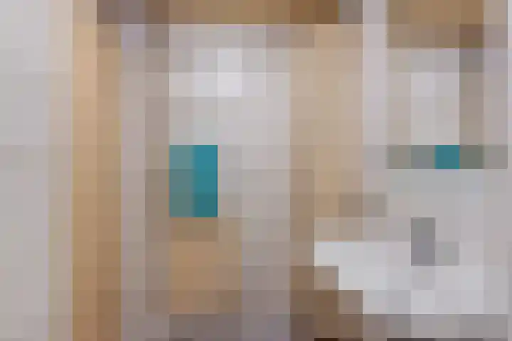 Willem-Alexanderweg 1 Cothen thumbnail 34
