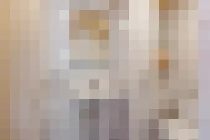 Willem-Alexanderweg 1 Cothen thumbnail 35