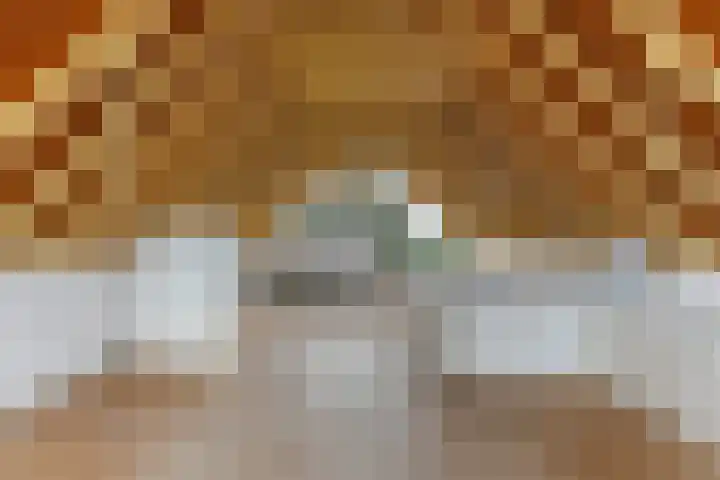 Willem-Alexanderweg 1 Cothen thumbnail 37