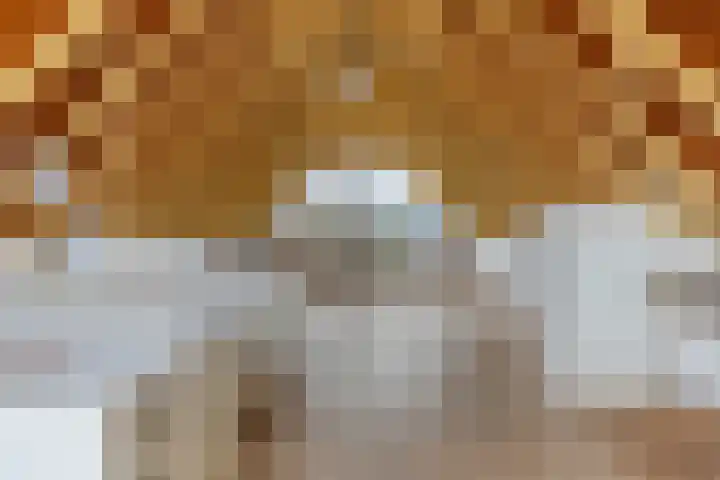 Willem-Alexanderweg 1 Cothen thumbnail 38