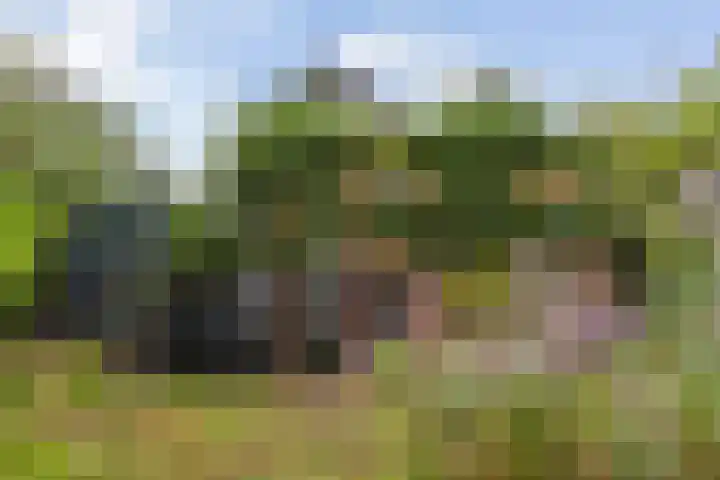 Willem-Alexanderweg 1 Cothen thumbnail 4