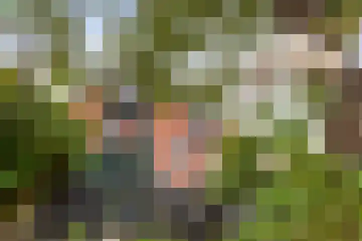 Willem-Alexanderweg 1 Cothen thumbnail 5