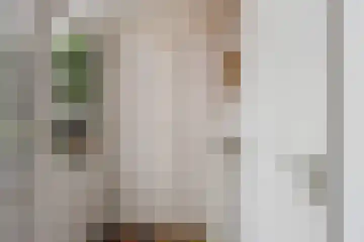 Willem-Alexanderweg 1 Cothen thumbnail 6