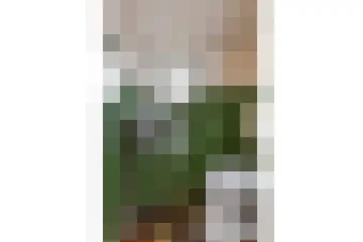 Willem-Alexanderweg 1 Cothen thumbnail 7