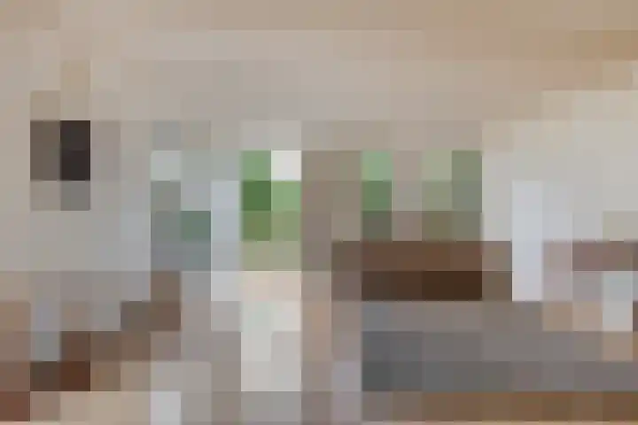 Willem-Alexanderweg 1 Cothen thumbnail 8