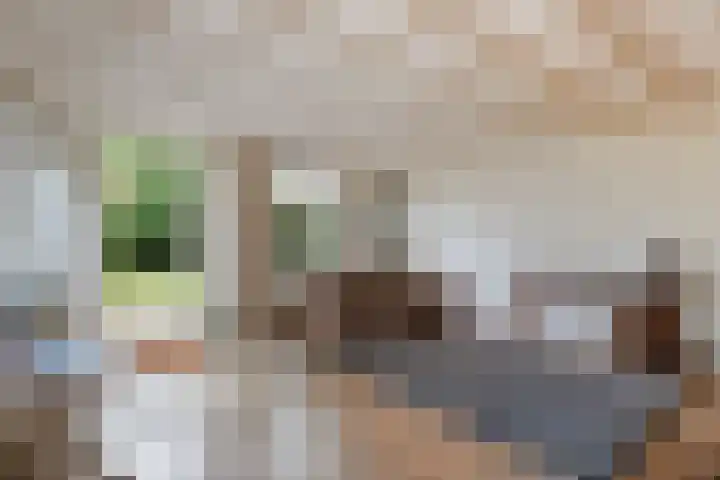 Willem-Alexanderweg 1 Cothen thumbnail 9