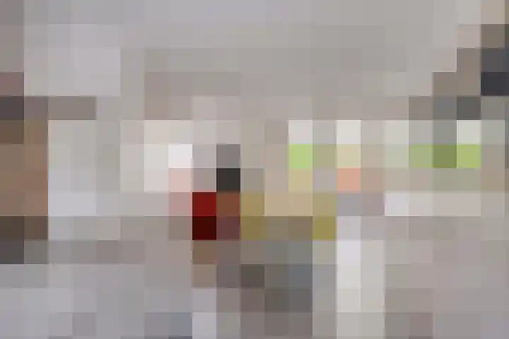 Willem Alexanderweg 33 Maastricht thumbnail 14