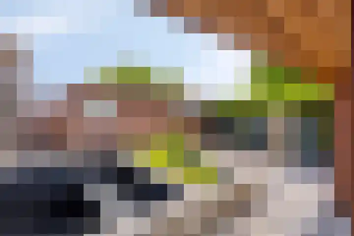 Willem Alexanderweg 33 Maastricht thumbnail 33
