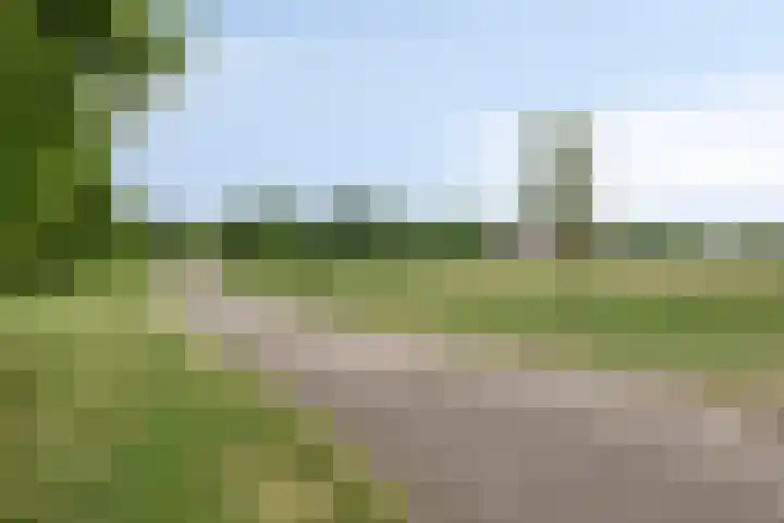 Willem Alexanderweg 33 Maastricht thumbnail 43