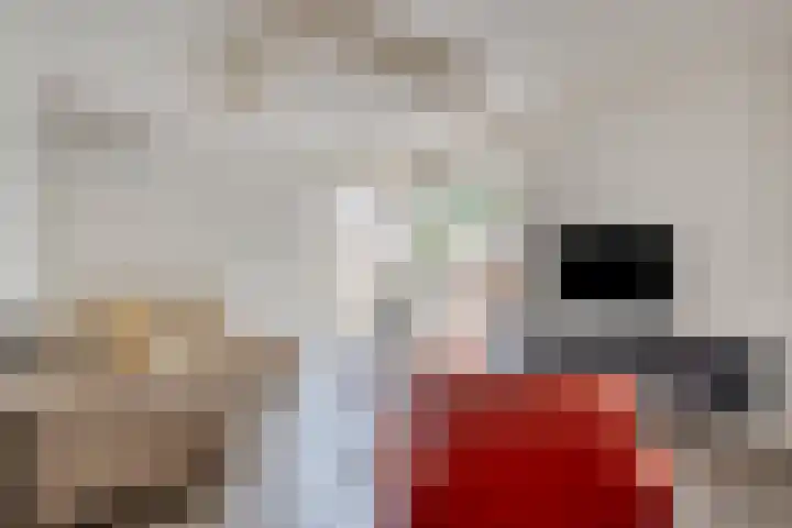 Willem Alexanderweg 33 Maastricht thumbnail 8