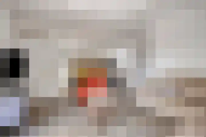 Willem Alexanderweg 33 Maastricht thumbnail 9