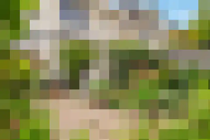 Willem Andriessenlaan 11 Amstelveen thumbnail 22