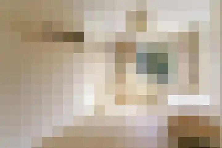 Willem Andriessenlaan 11 Amstelveen thumbnail 35