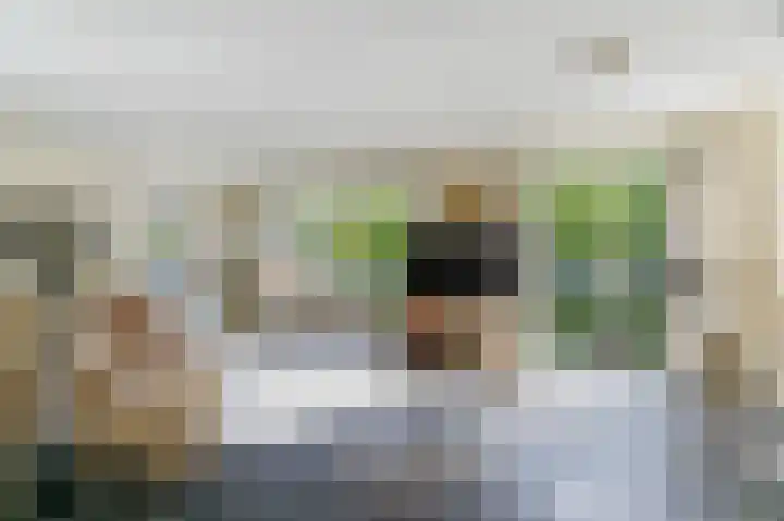 Willem Andriessenlaan 11 Amstelveen thumbnail 4