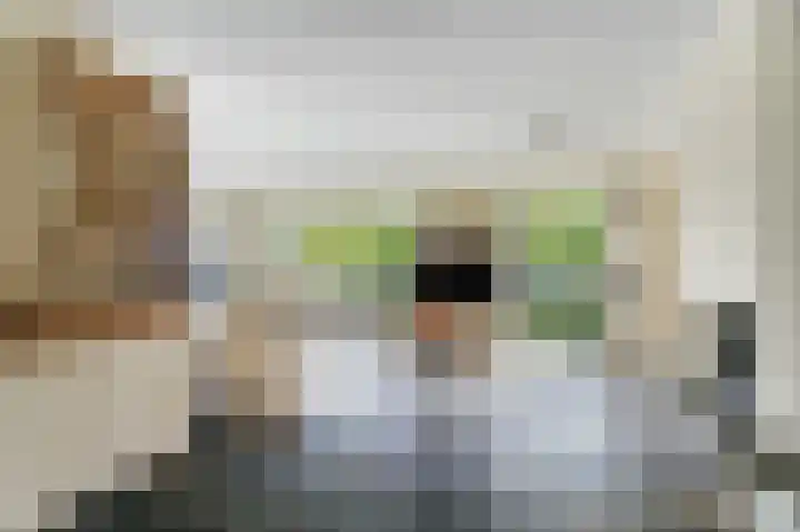 Willem Andriessenlaan 11 Amstelveen thumbnail 9