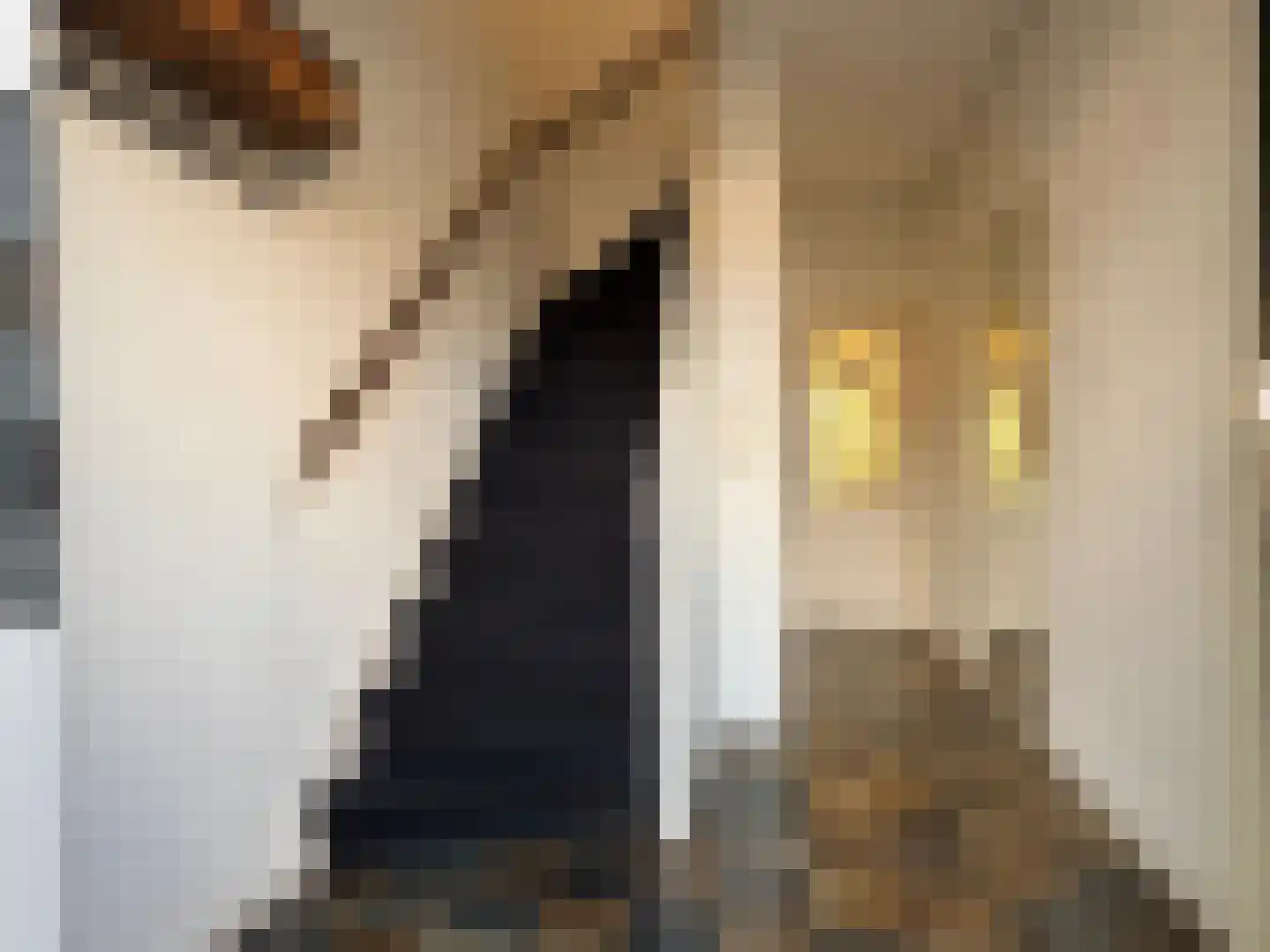 Willem Andriessenweg 19 Bovenkarspel thumbnail 12