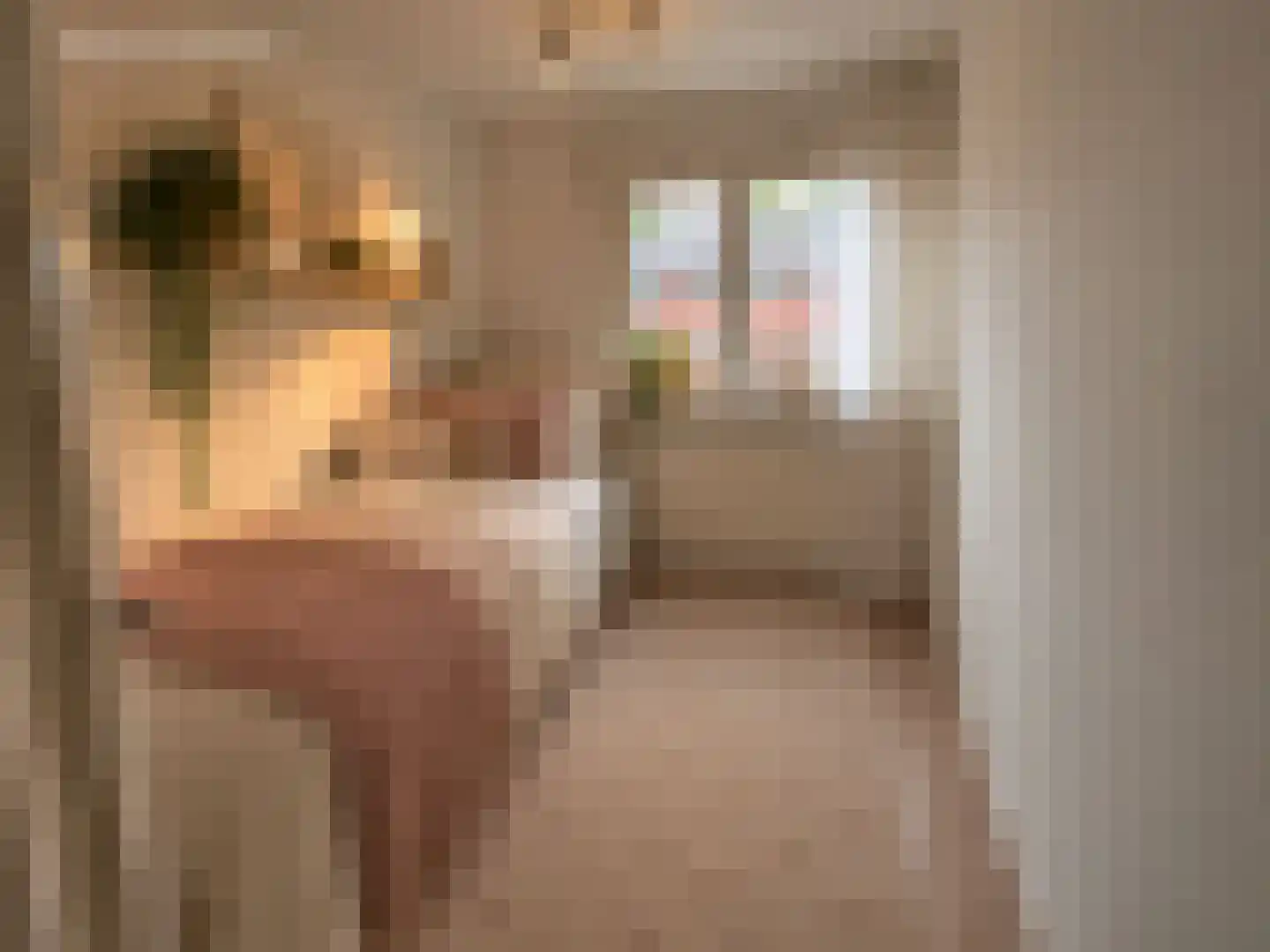Willem Andriessenweg 19 Bovenkarspel thumbnail 18