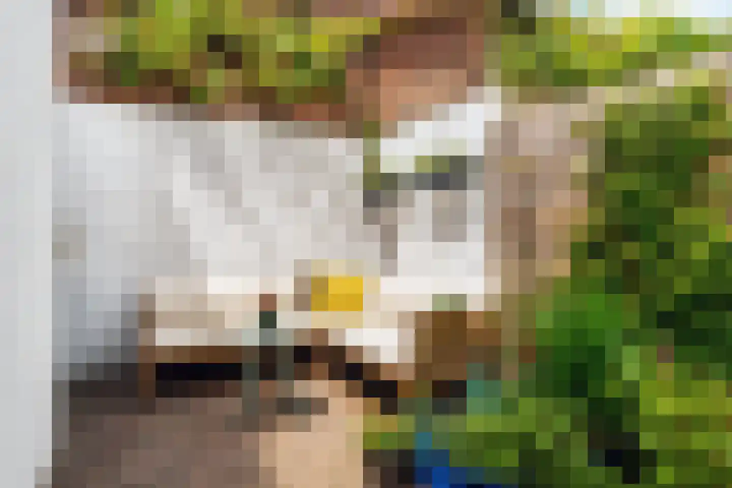 Willem Arntszkade 17 Utrecht thumbnail 11