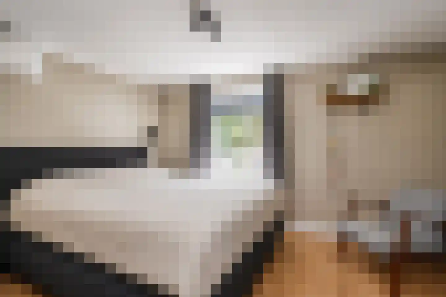 Willem Arntszkade 17 Utrecht thumbnail 17