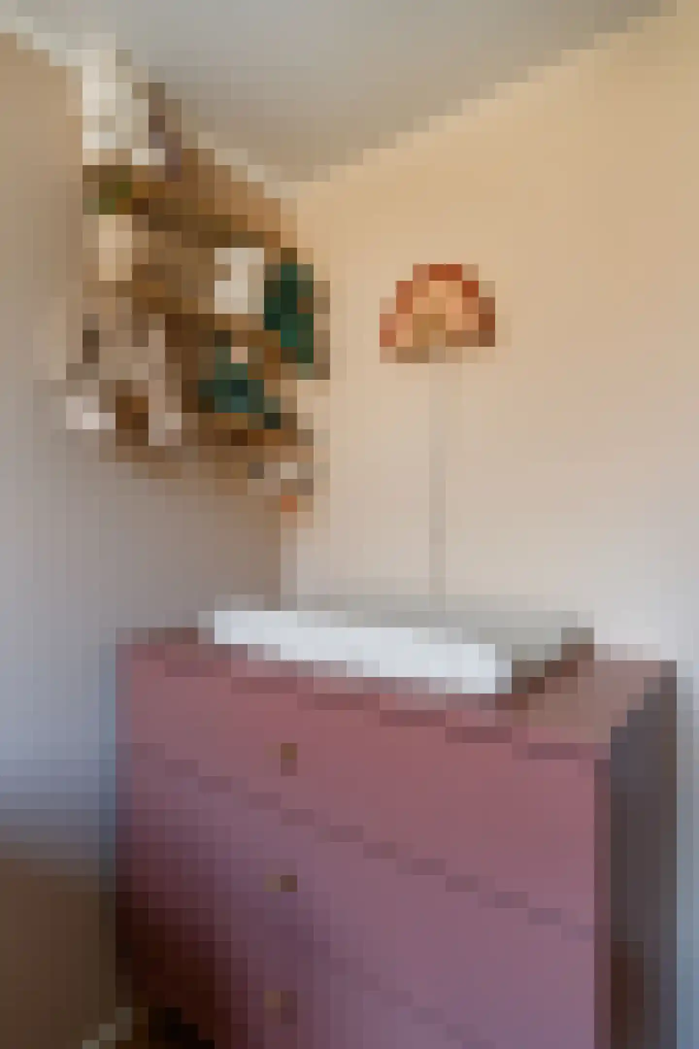 Willem Arntszkade 17 Utrecht thumbnail 21