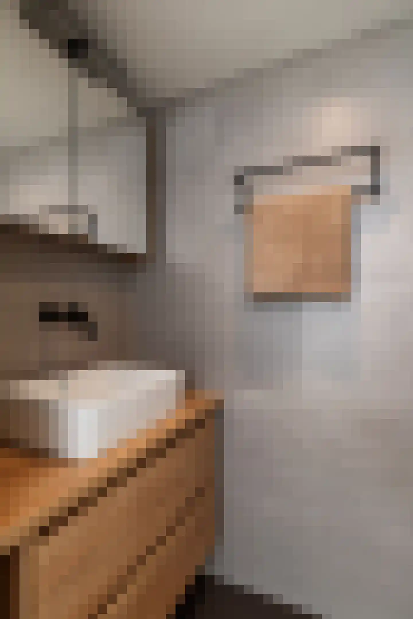 Willem Arntszkade 17 Utrecht thumbnail 23