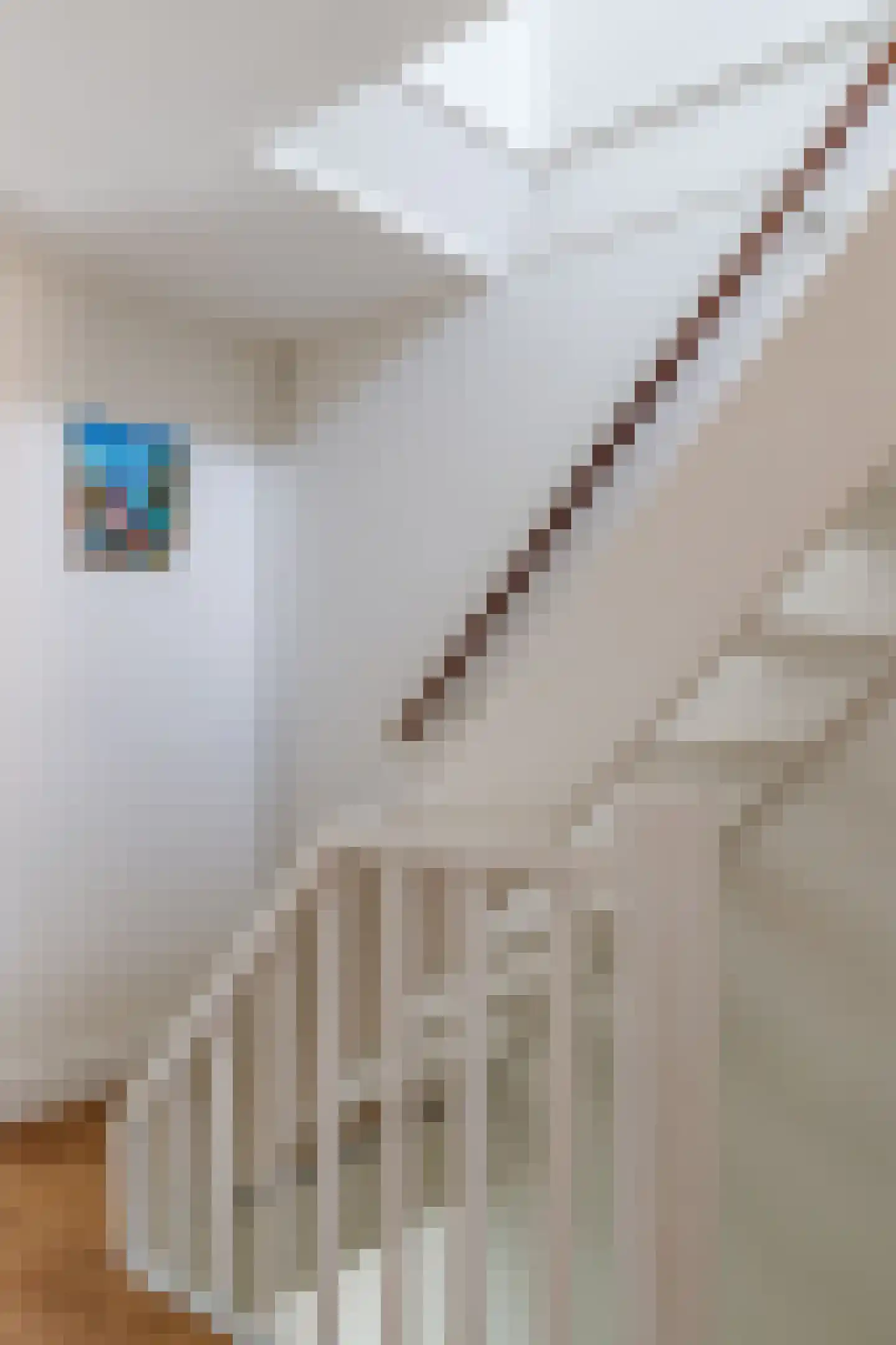 Willem Arntszkade 17 Utrecht thumbnail 26
