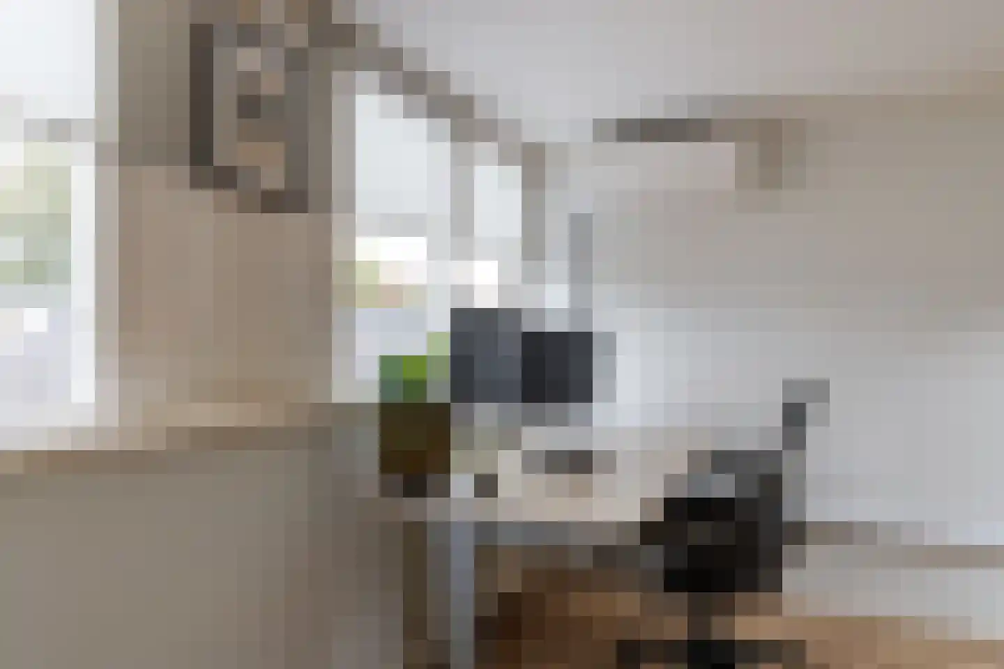 Willem Arntszkade 17 Utrecht thumbnail 29