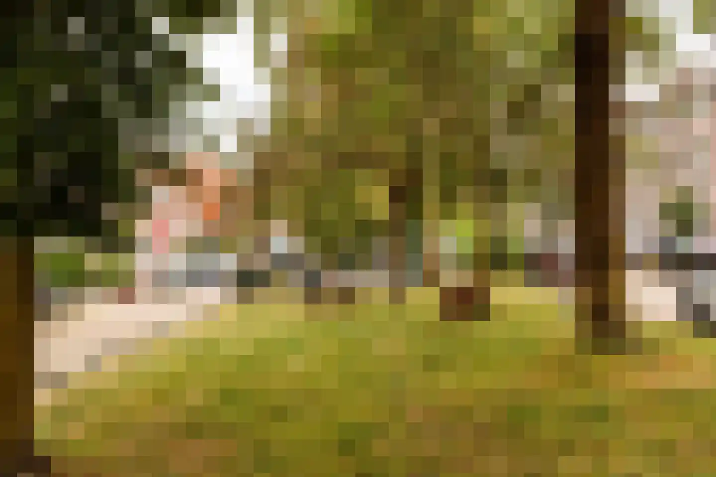 Willem Arntszkade 17 Utrecht thumbnail 31