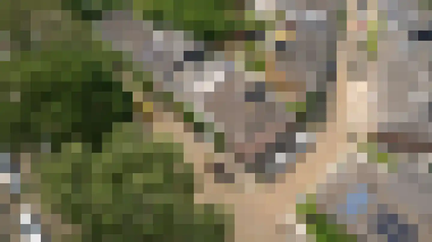 Willem Arntszkade 17 Utrecht thumbnail 32