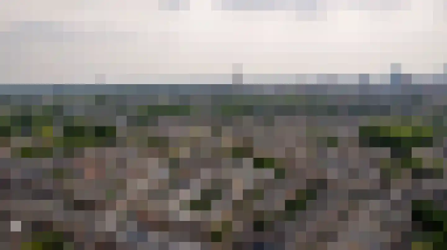 Willem Arntszkade 17 Utrecht thumbnail 36