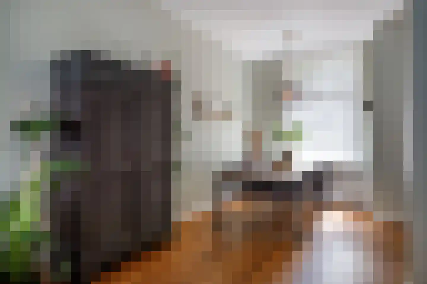 Willem Arntszkade 17 Utrecht thumbnail 5
