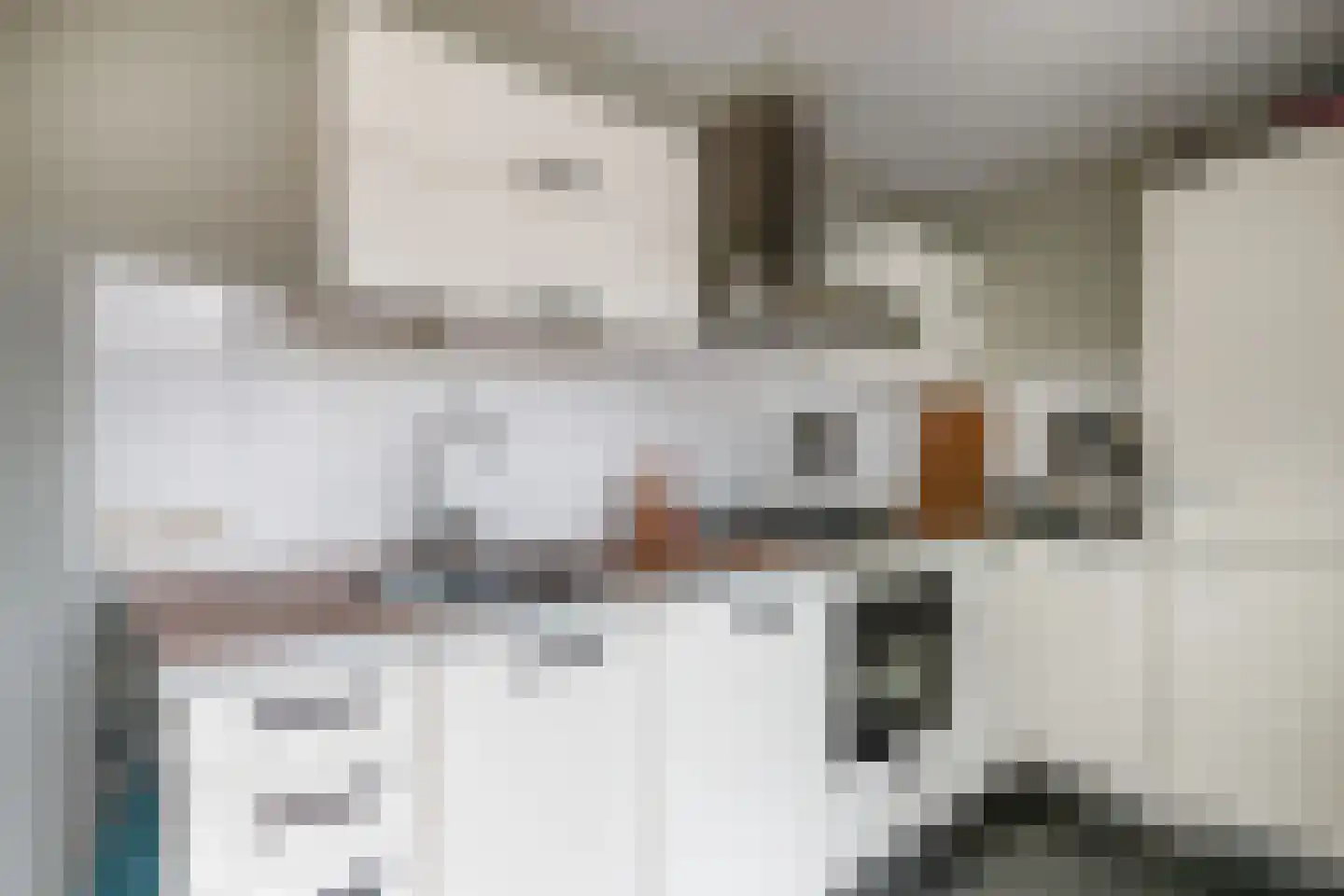 Willem Arntszkade 17 Utrecht thumbnail 8