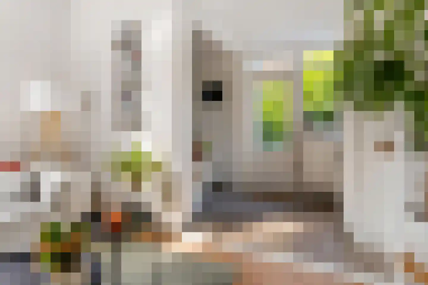Willem Arntszkade 19 Utrecht thumbnail 12