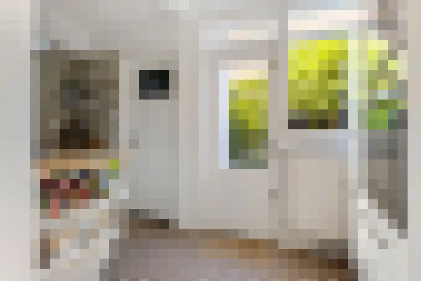 Willem Arntszkade 19 Utrecht thumbnail 13