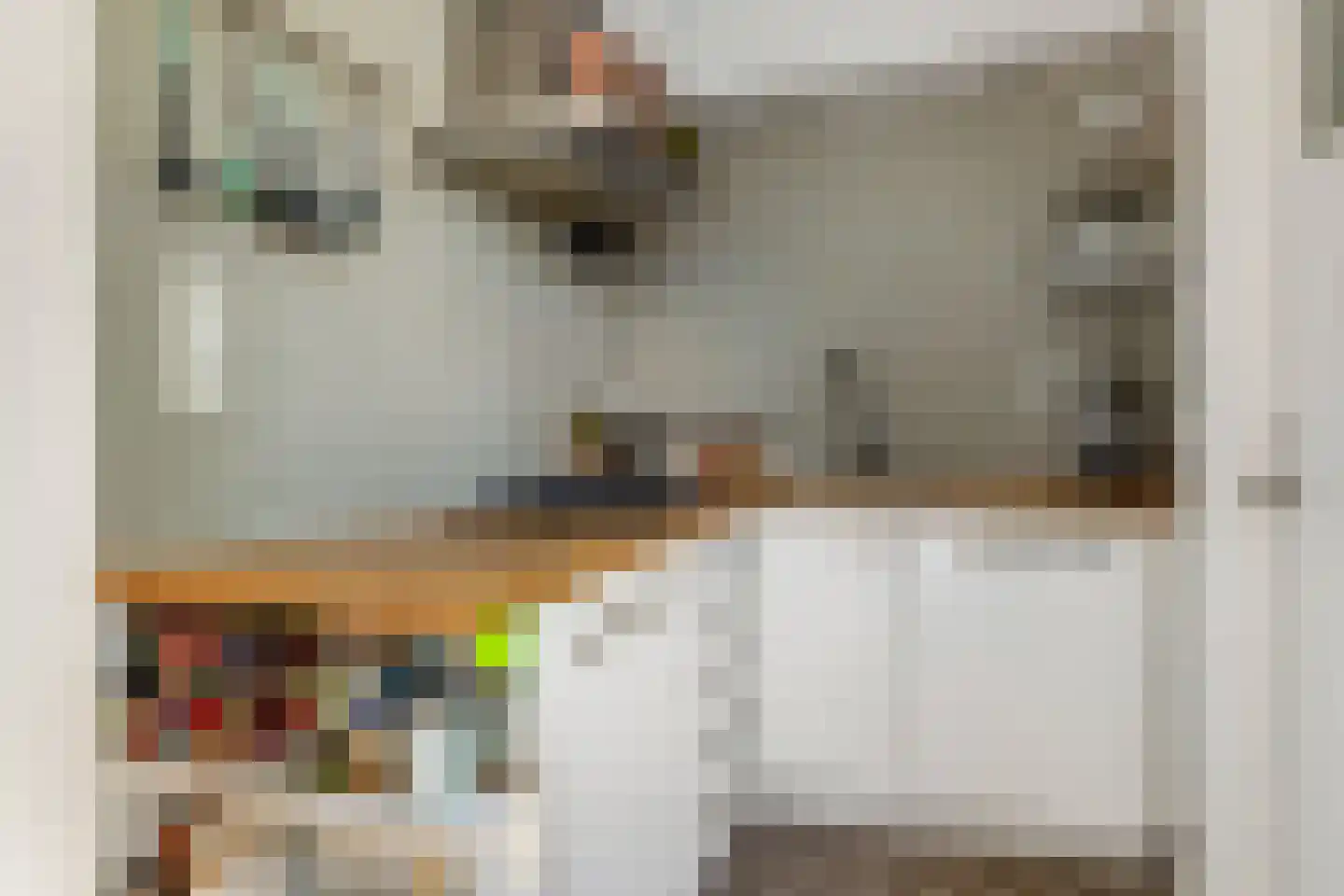 Willem Arntszkade 19 Utrecht thumbnail 14