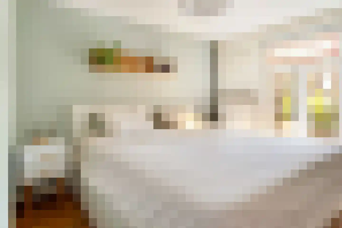 Willem Arntszkade 19 Utrecht thumbnail 19