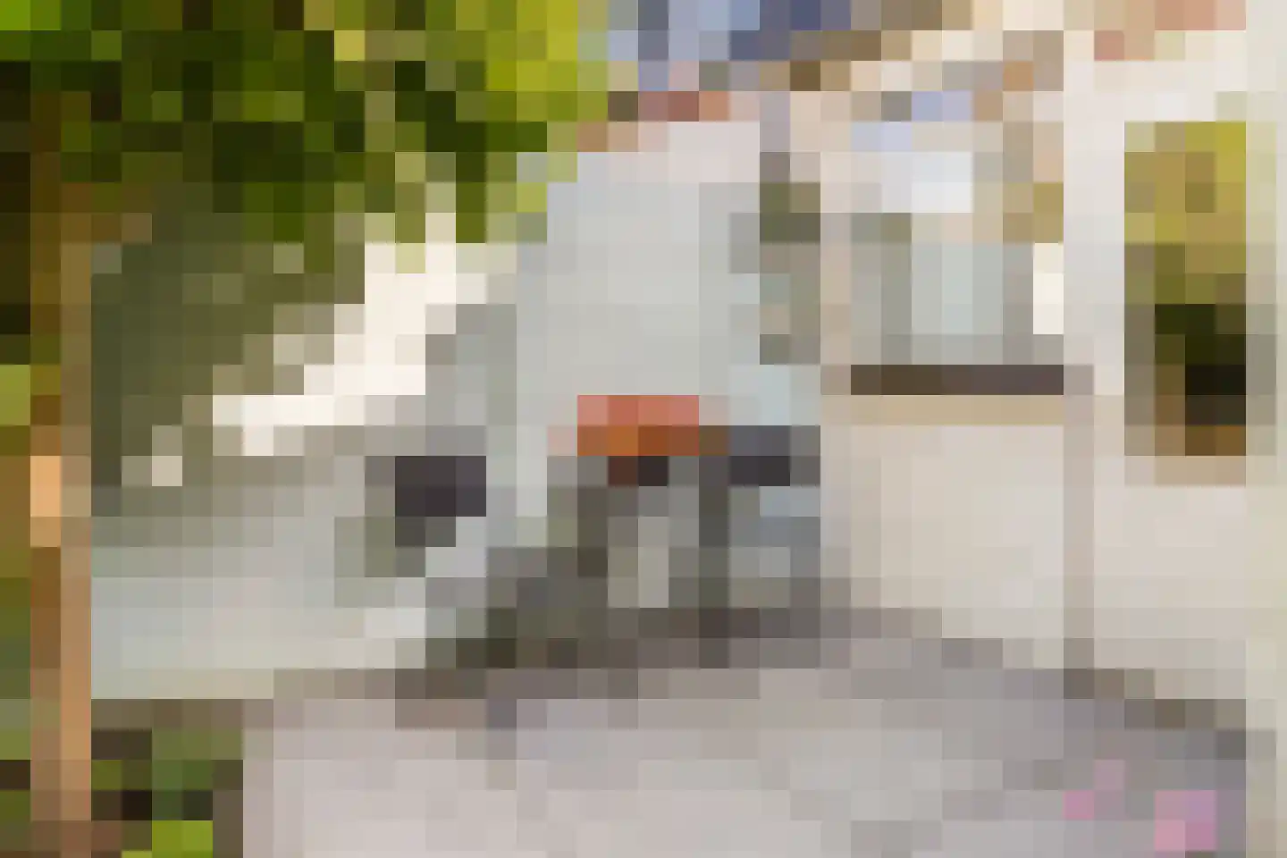 Willem Arntszkade 19 Utrecht thumbnail 27