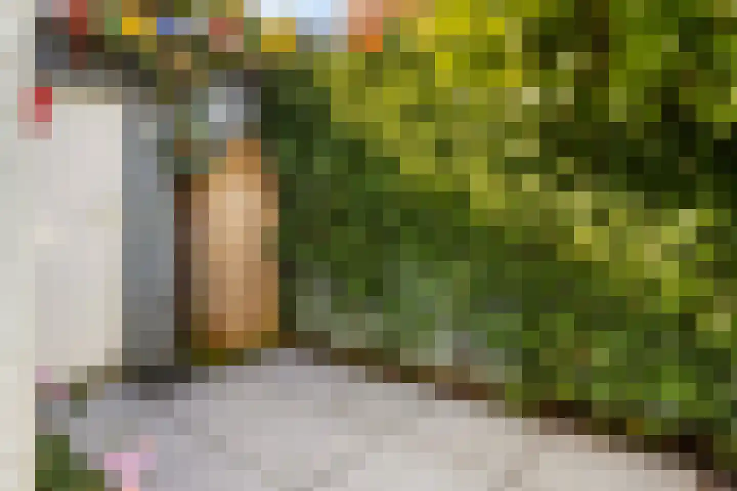 Willem Arntszkade 19 Utrecht thumbnail 29