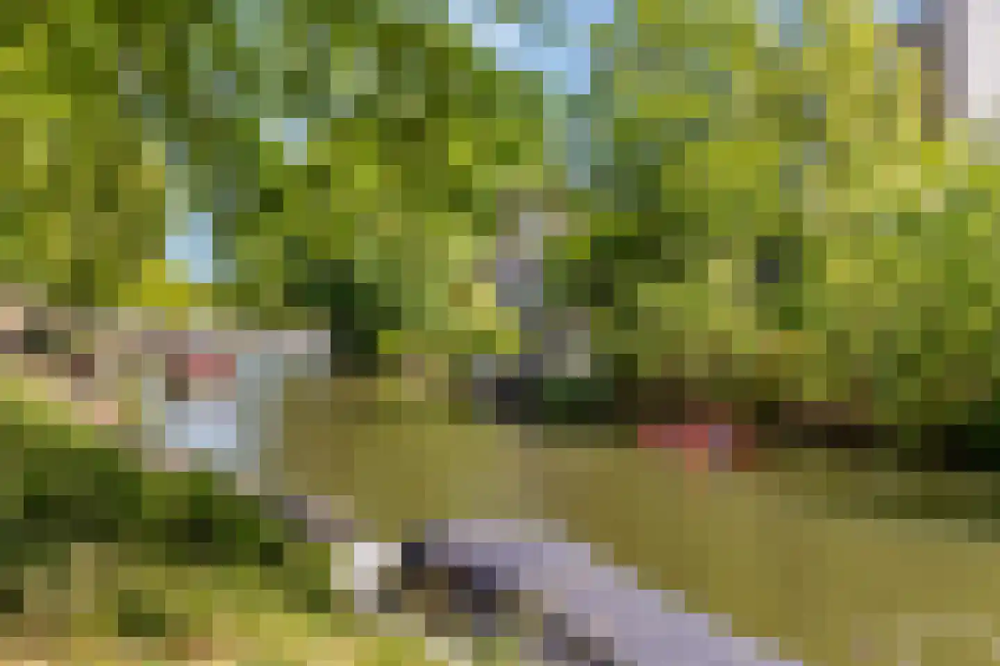 Willem Arntszkade 19 Utrecht thumbnail 35
