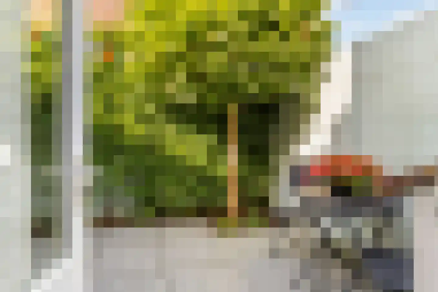 Willem Arntszkade 19 Utrecht thumbnail 4