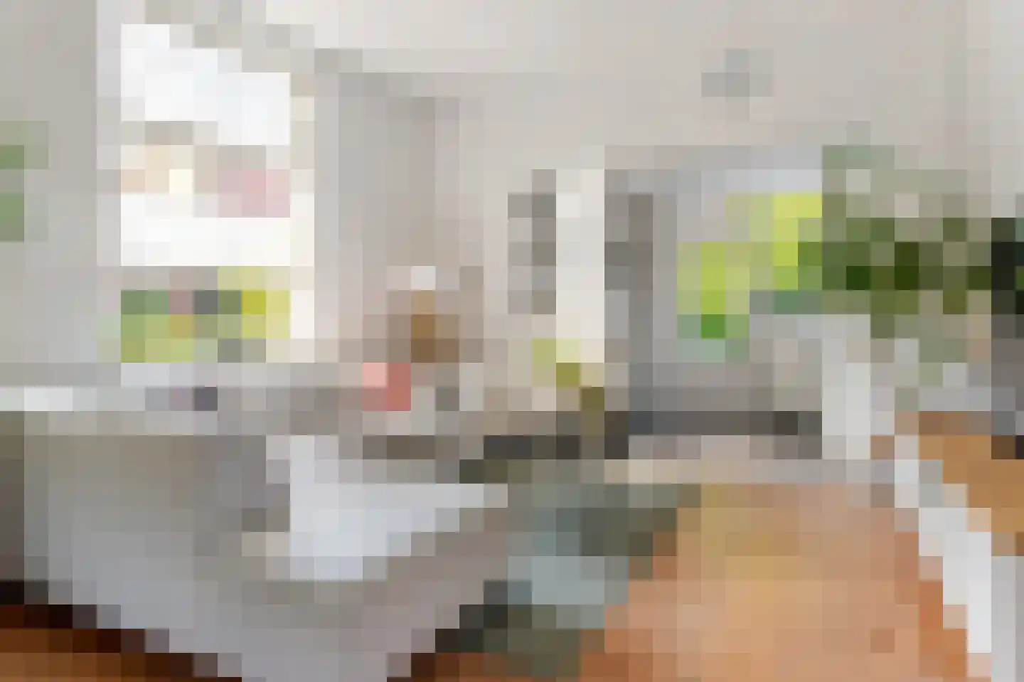 Willem Arntszkade 19 Utrecht thumbnail 8