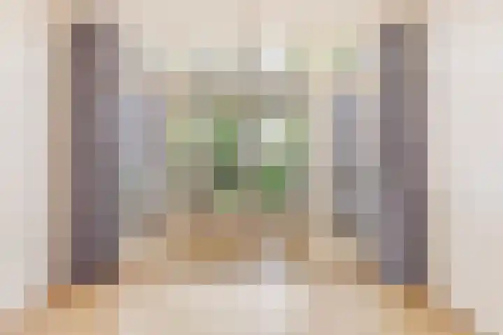 Willem Arntszkade 48 Utrecht thumbnail 12