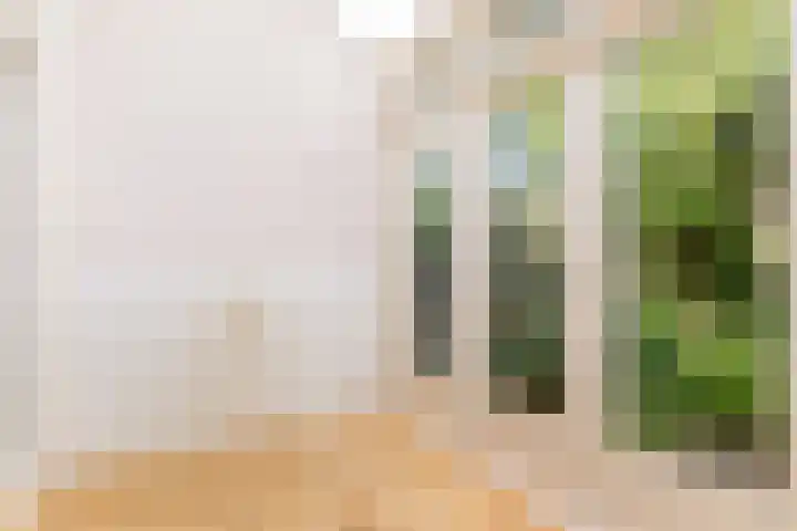 Willem Arntszkade 48 Utrecht thumbnail 14