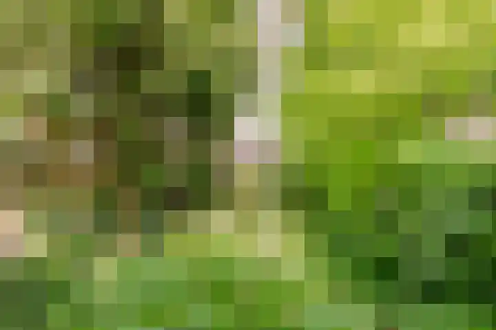 Willem Arntszkade 48 Utrecht thumbnail 16
