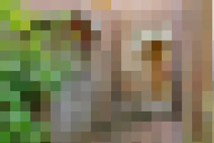Willem Arntszkade 48 Utrecht thumbnail 17