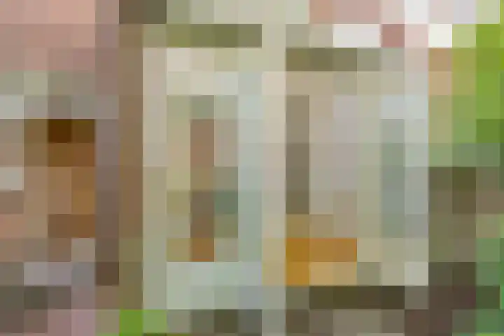 Willem Arntszkade 48 Utrecht thumbnail 18