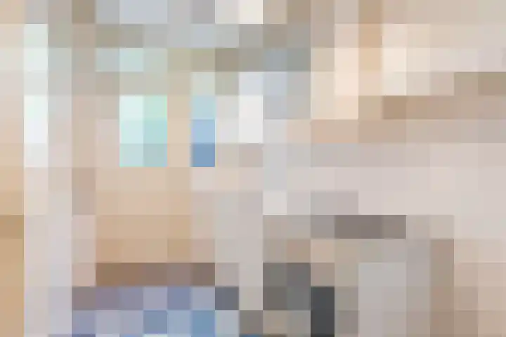 Willem Arntszkade 48 Utrecht thumbnail 20