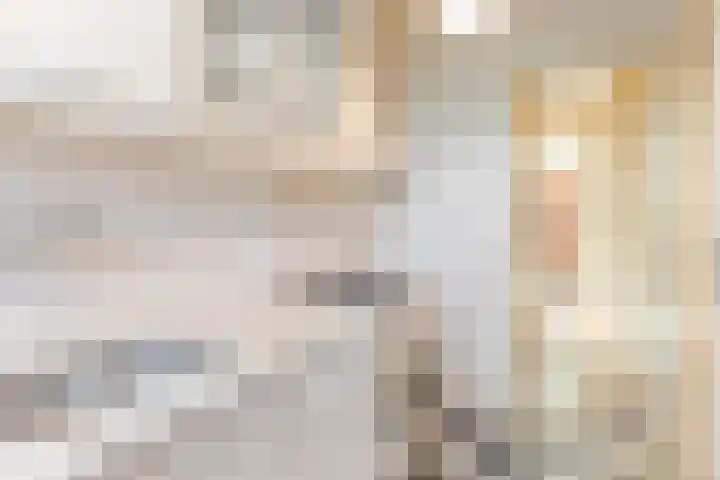 Willem Arntszkade 48 Utrecht thumbnail 21