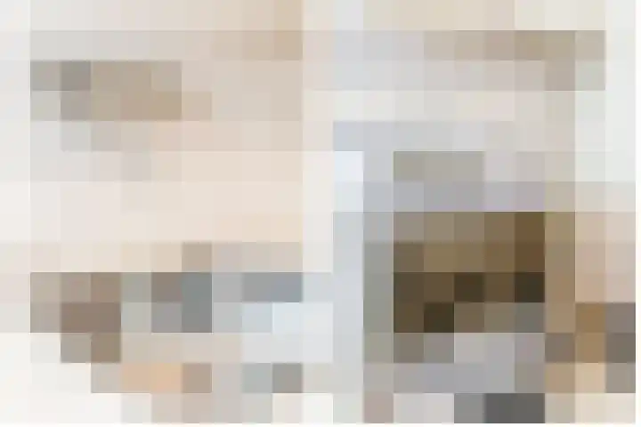 Willem Arntszkade 48 Utrecht thumbnail 23