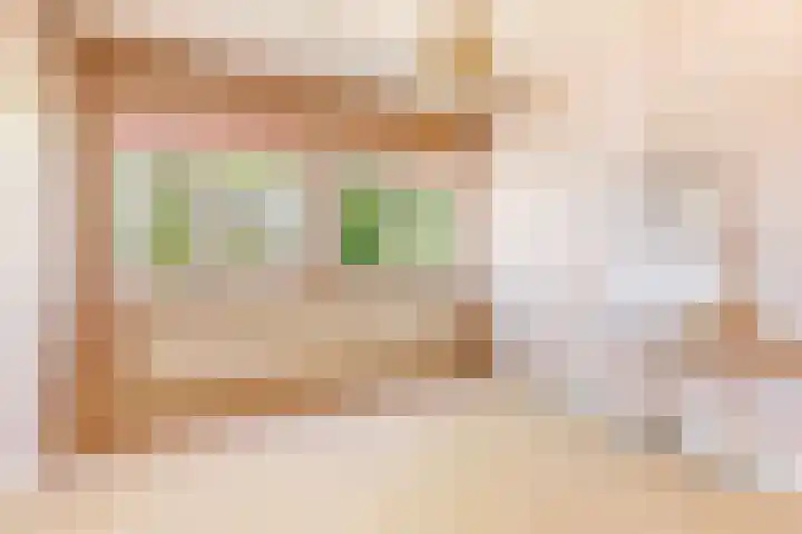Willem Arntszkade 48 Utrecht thumbnail 24